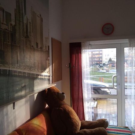 Apartament Przy Parku Noclegi Plock Exterior photo